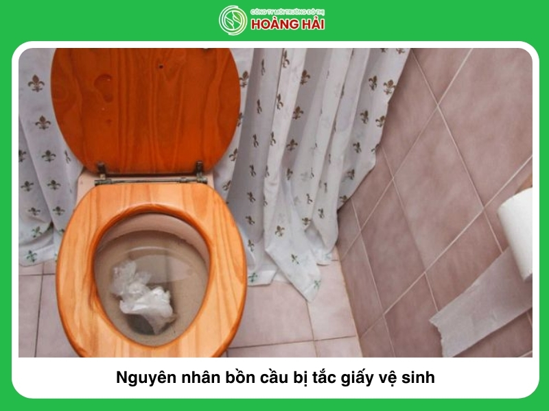 nguyen nhan bon cau bi tac giay ve sinh