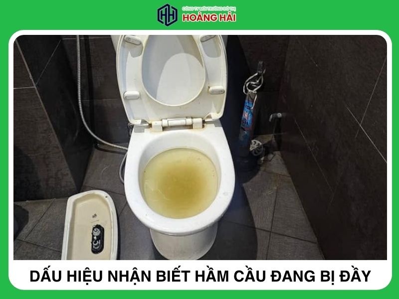 ấu hiệu nhận biết hầm cầu đang bị đầy