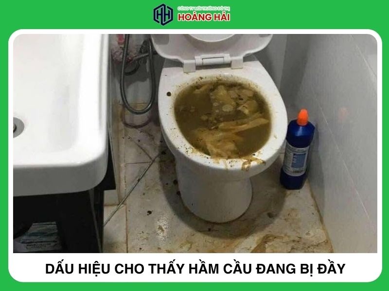 dấu hiệu cho thấy hầm cầu nhà bạn đang bị đầy