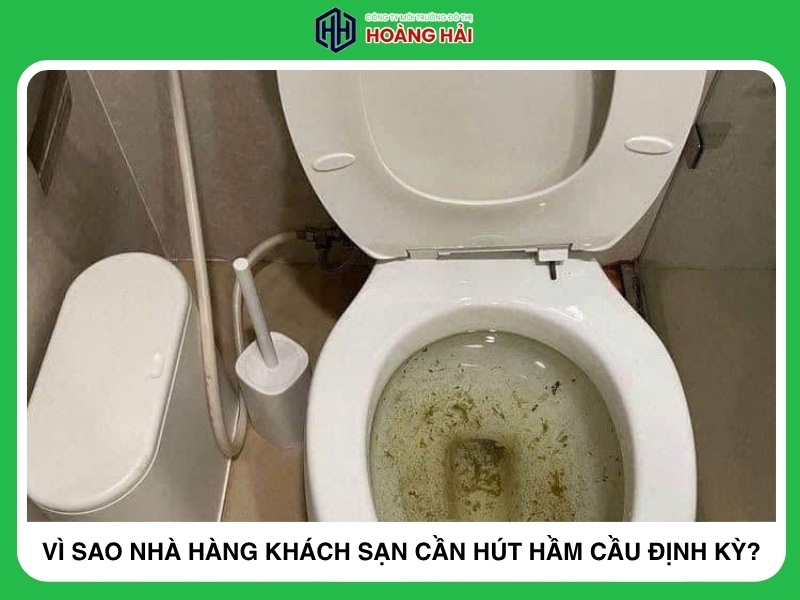 Vì sao nhà hàng khách sạn tại Vũng Tàu cần hút hầm cầu định kỳ?