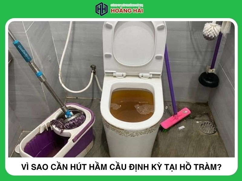 Vì sao cần hút hầm cầu định kỳ tại Hồ Tràm?