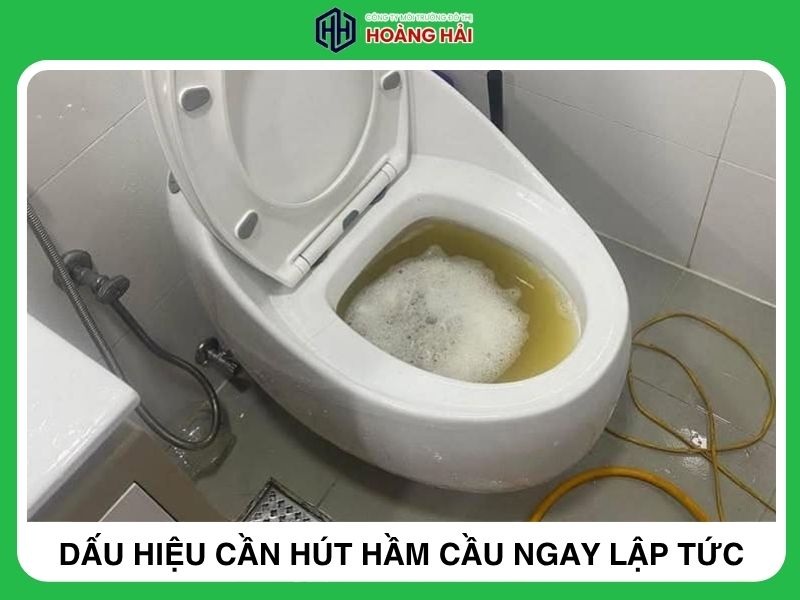 dấu hiệu cần hút hầm cầu ngay lập tức